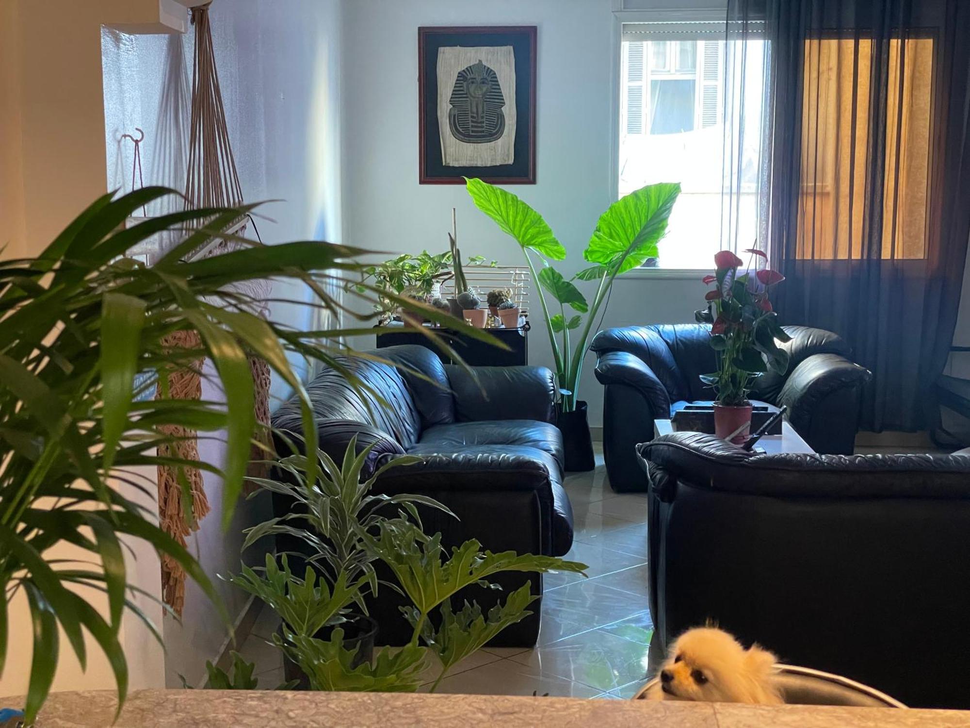 Private Room Καζαμπλάνκα Εξωτερικό φωτογραφία
